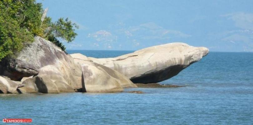 Apto Lindo 2 Dor Piscina Ar Internet 103 A Caraguatatuba Εξωτερικό φωτογραφία